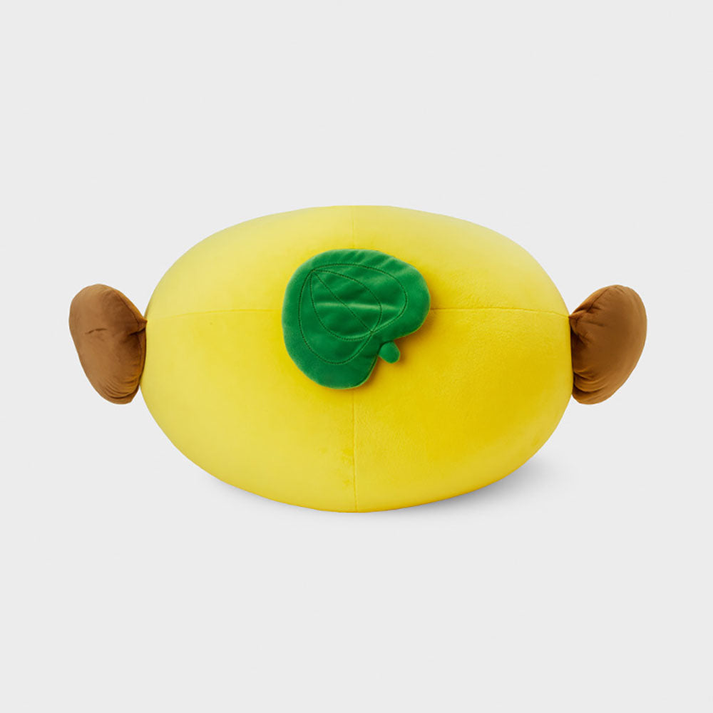 もちもちビッグクッション CHIMMY