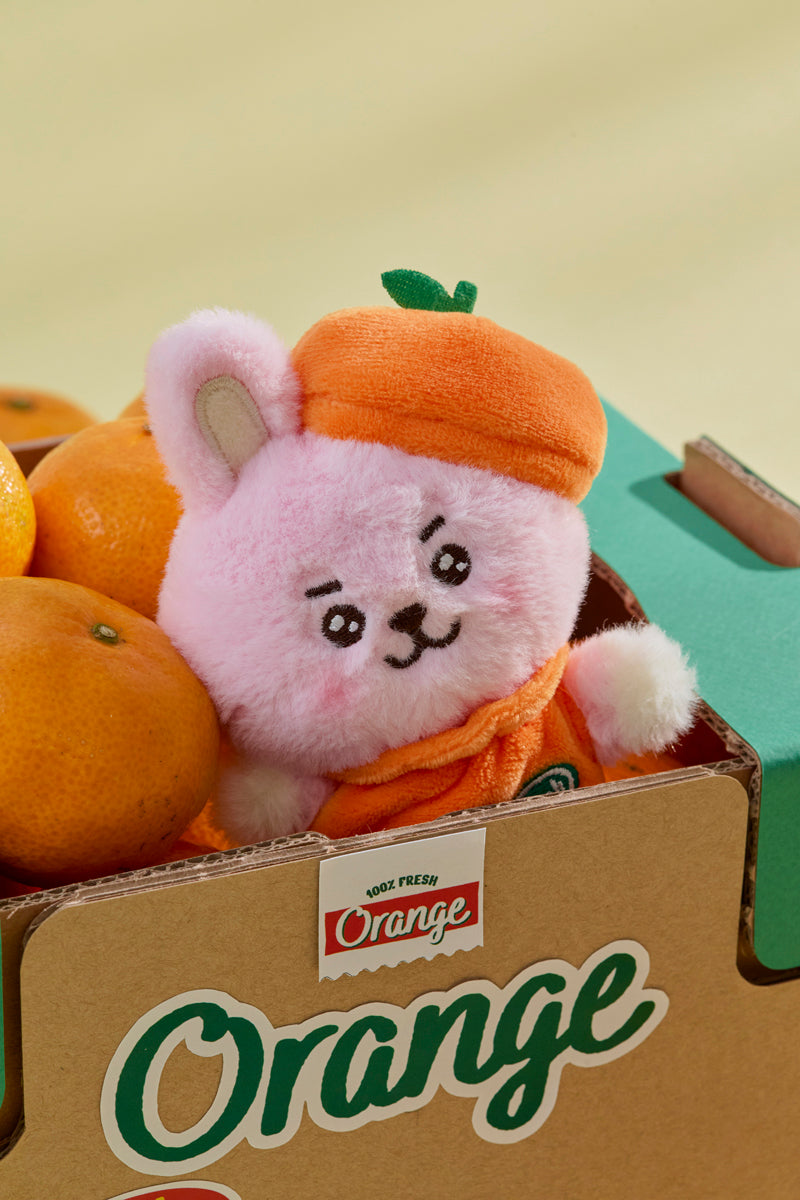 ベビー ぬいぐるみ(ORANGE PARTY) COOKY