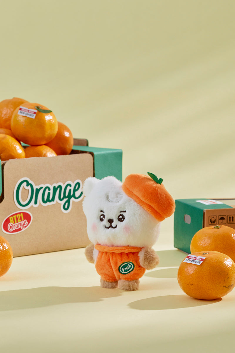 ベビー ぬいぐるみ(ORANGE PARTY) RJ