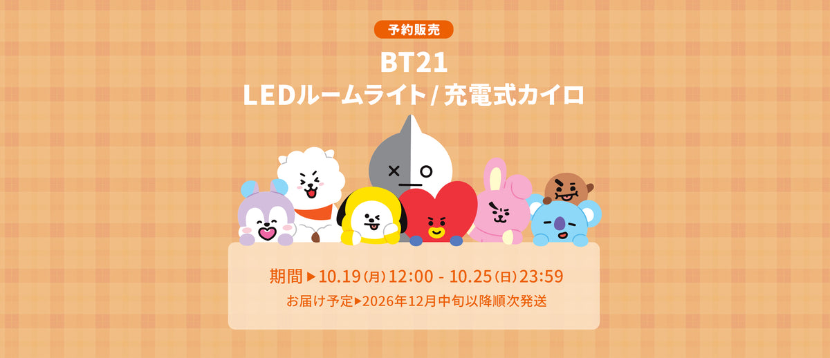 BT21 LEDルームライト/充電式カイロ