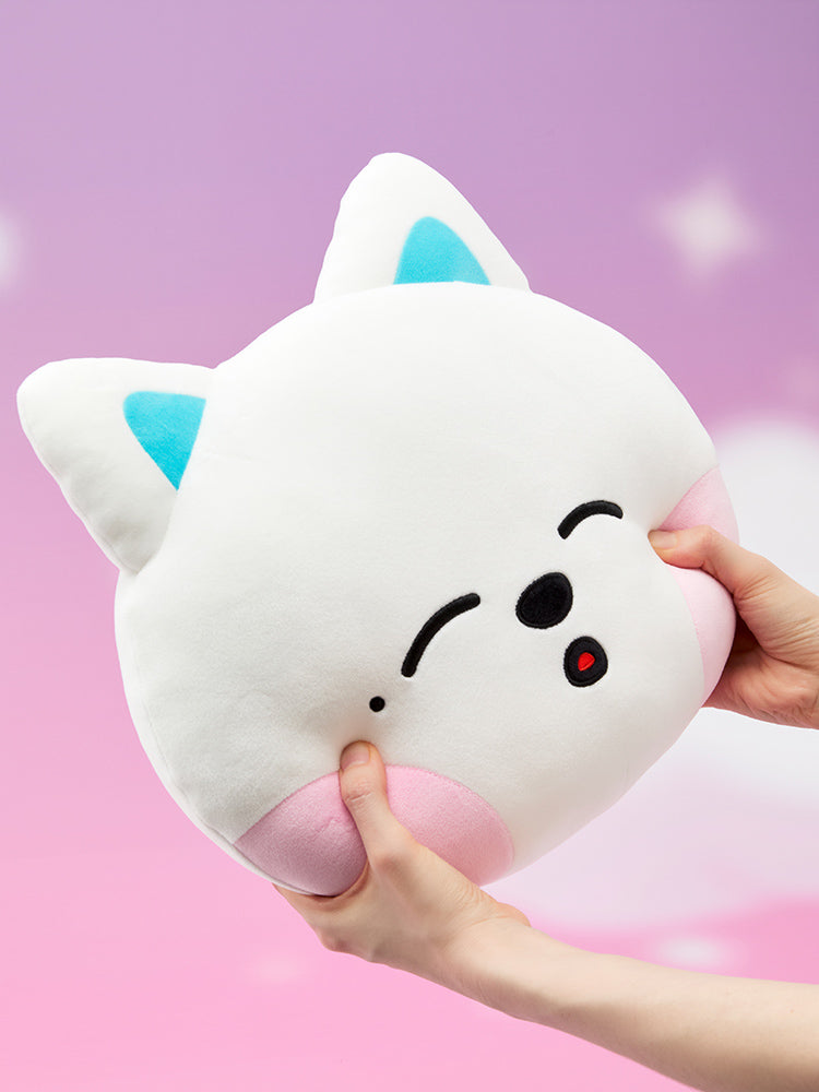 NCT DREAM Dreamiez フェイスクッション マーク Dreamiez フェイスクッション M(SWEET Dreamiez) jjed – LINE FRIENDS