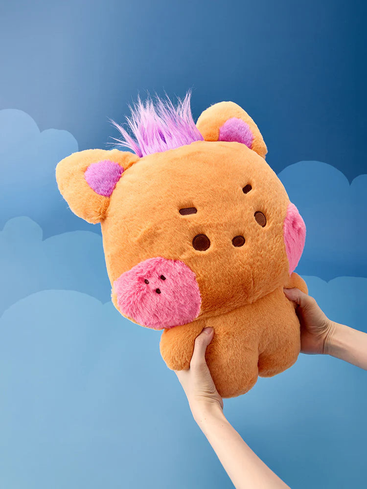 予約販売】NCT WISH BIG ぬいぐるみクッション(wishnini house
